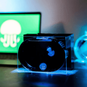Small Jellyfish Tank